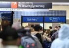 Ice at Airports: Tension Fears as Agents Arrive to Ease Long TSA Lines