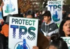 Tps and the long wait: essential workers caught between a bill and a deadline