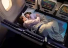 United Relax Row announced: United Economy seats turn into a couch, launch set for 2027
