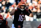 Joe Flacco Returns to Bengals for 19th NFL Season