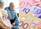 Oas High Income Seniors: Proposal to Cut OAS for High-Income Seniors Could Save Billions, Poll Shows