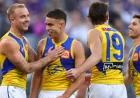 Wafl: Big names return for pre-season clash as Eagles host Peel