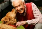 Bob Barker Documentary: Allegations Resurface After Recent Docuseries Episodes