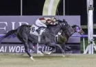 Dubai World Cup 2026: 30th Anniversary to Proceed Amid Torrential Rain and Regional Conflict