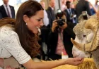 Everything you need to know about the 2026 Sydney Royal Easter Show