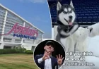Connecticut Furniture Store’s UConn Promotion Nears Payout with Two Wins Remaining