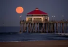 Full Moon Pink Moon: Exactly When to See April’s Bright Rise