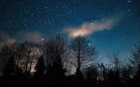 March 2026 Horoscope: Love, Opportunities, and Freedom for These 3 Zodiac Signs