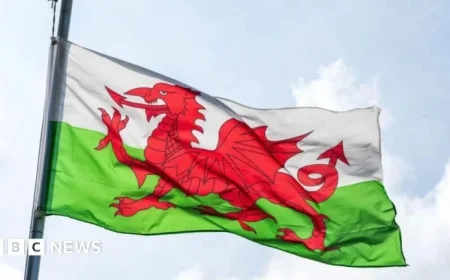 Regional Celebrations Mark St David’s Day
