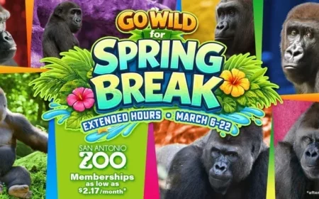San Antonio Zoo Highlights Spring Break with Congo Falls, Pollinators Exhibits