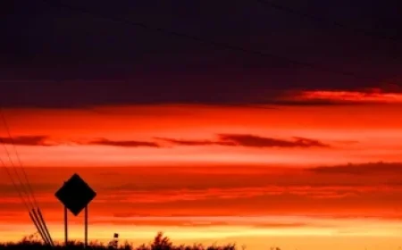 Hronek Untouchable in Vancouver, Boeser Set to Depart?