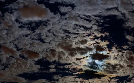 Evening Clouds at 55°F, Daytime Peaks at 75°F