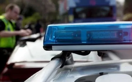 Drivers Face Court for Speeding, Tax Evasion, and Insurance Violations