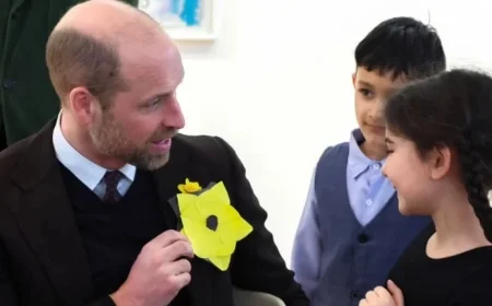 Royal Fans Applaud Prince William’s Swift “Dad Mode” Response