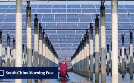 China Set to Profit Significantly from Global Energy Transition: Analysts