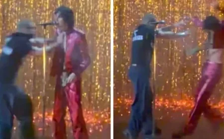 Singer Pushed Off Stage During Brit Awards Performance In Viral Video