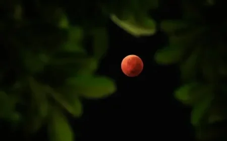 ‘Blood Moon to Illuminate Canadian Skies Overnight, NASA Reports’