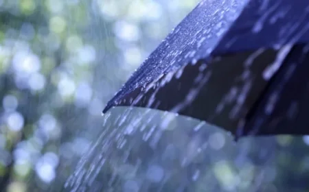 Exploring Winter Statistics: How Much Rain Has Fallen?