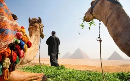 Is Traveling to Egypt Now Safe? Expert Advice