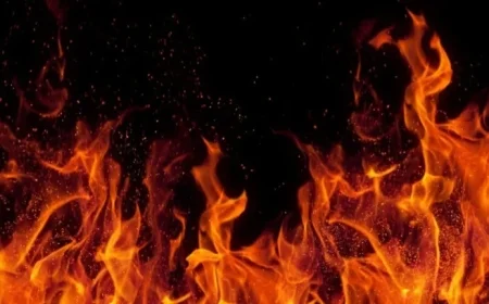 Are BAE Systems and Babcock Shares Unstoppable in Today’s Market?