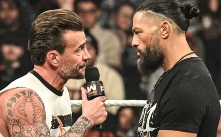 Roman Reigns’ Relative Confronts CM Punk Over WWE RAW Comment