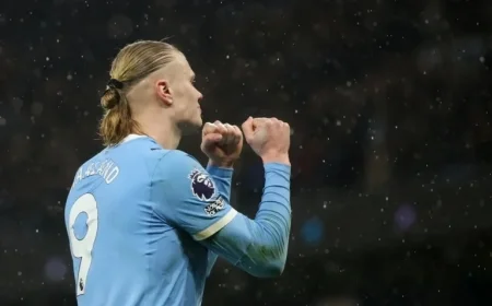 Erling Haaland Leads Premier League Scorers, Viktor Gyökeres Surprises