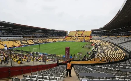 Botafogo Announces Line-up for Crucial Pre-Libertadores Match