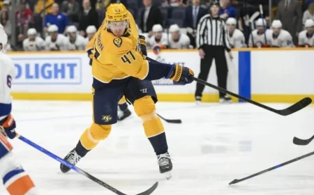 Wild Trade 2nd-Round Pick to Predators for 6’6″ Center McCarron