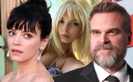 David Harbour’s Associate Ejected from Lily Allen Producer’s Party