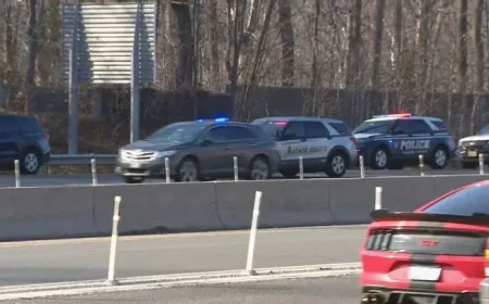 Virginia Road Rage: Man Fatally Stabs Own Dog on I-495
