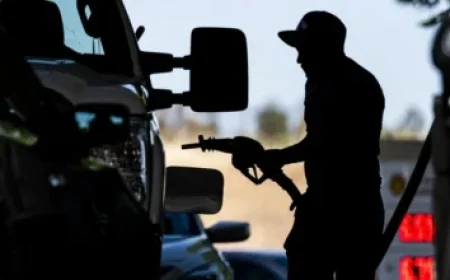 Texas Governor Race: Meet Greg Abbott’s Challengers