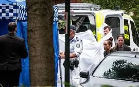 Armed man shot dead by police in Sydney after two women assaulted — Dr Steven Lin