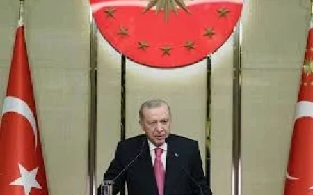 Erdogan: Turkey Condemns U.S. Strikes on Iran, Says It Seeks Diplomacy to End Iran War