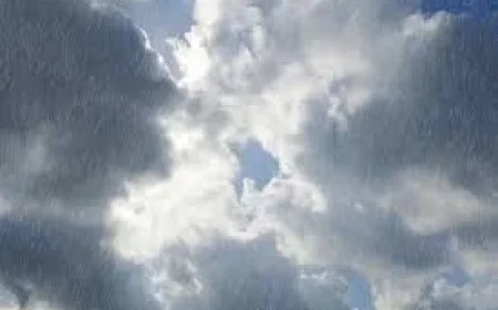 Weather forecasts conflict: Partly cloudy, overcast and misty reports reveal patchy rain risk