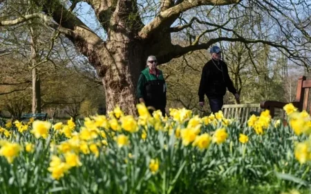 London Weather: 5 Reasons the Capital Will Outshine Ibiza and Barcelona This Week