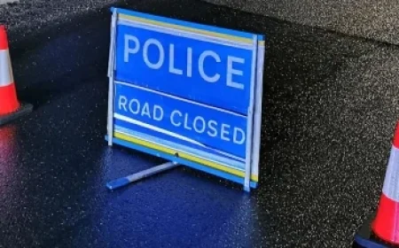 Al Green Primary: Early vote shows a redistricting clash reshaping TX-18’s Democratic future