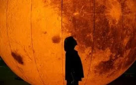 Blood Moon Total Lunar Eclipse Tonight: Timelapse Captured Over Auckland Reveals Striking Red Glow