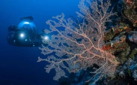 M32: Rush-hour Block, Police Standstill and Fatal Slip‑Road Crash Reveal a Short Motorway Under Strain