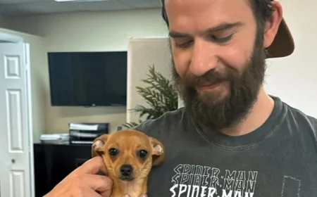 Lawsuit: Google Gemini Allegedly Triggers Man’s Violent Missions, Suicide Countdown