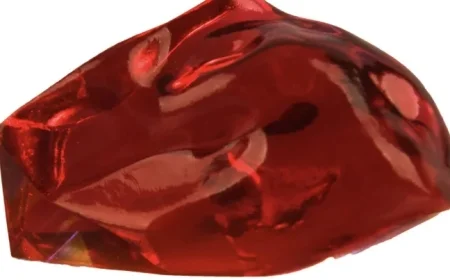 Harry Potter props fetch nearly $90K as auction totals $318,157