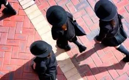 Australia Public Private School Data: Girls Lead Exodus Claims While Underlying Articles Are Blocked