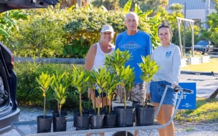 Captiva Island and the record-breaking adoption season: 1,800 mangroves, 708 community backers, and a coastline under repair