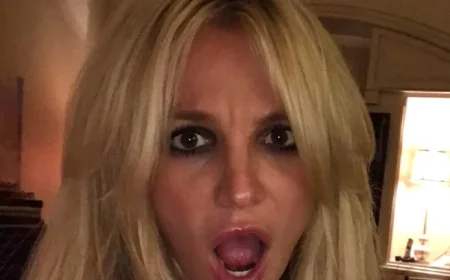 Britney Spears Secures Permanent Restraining Order Against Alleged Stalker