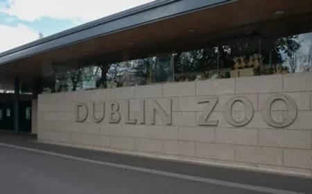 Dublin Zoo announces free entry for mums ahead of Mother’s Day
