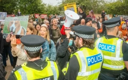 Amanda Holden among celebrities and MPs calling to shut Cambridgeshire puppy-breeding site