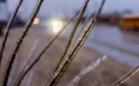 Wmur Closings: When a clear forecast still leaves families waiting