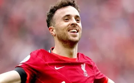 Liverpool Wolves: Paintings, Accounts and the Cost of Remembrance