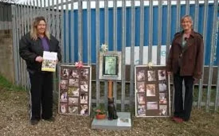 Minehead cat Gizmo remembered with life-size statue — £800 raised and 1,400 followers keep his memory alive