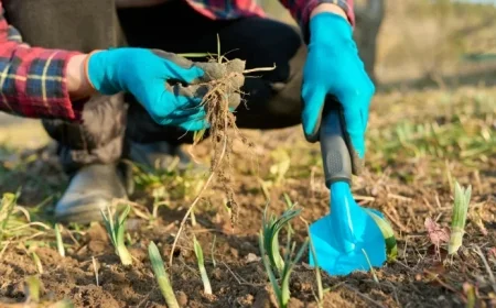 Monty Don Meets March: A Gardener’s Marching Orders and the 19 Best Perennials