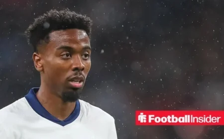 Angel Gomes: Wolves fans say the same thing about his future after Liverpool win